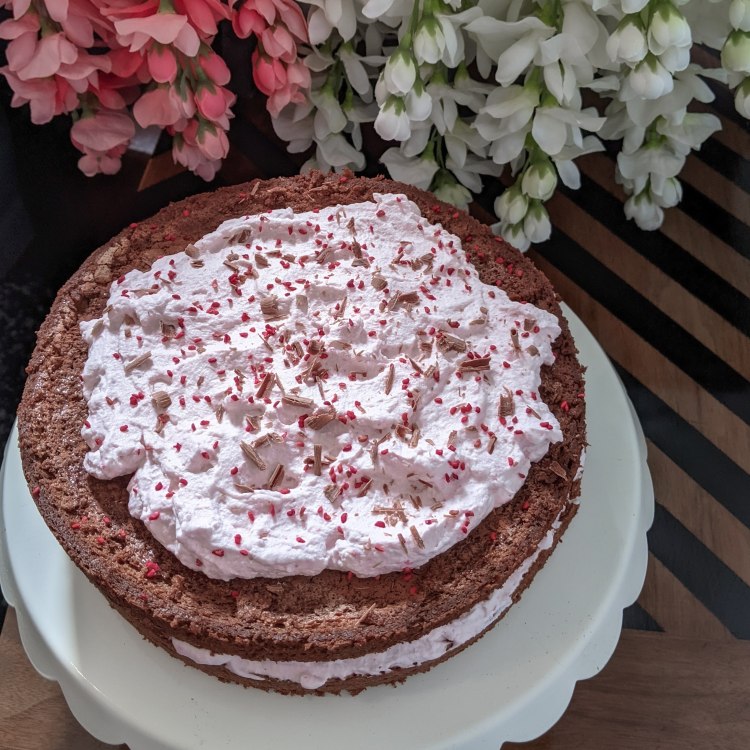 Chocolate Raspberry Fluff Cake – Yay Cake Day